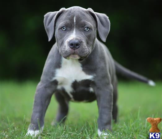 GIOVANNI Picture 2